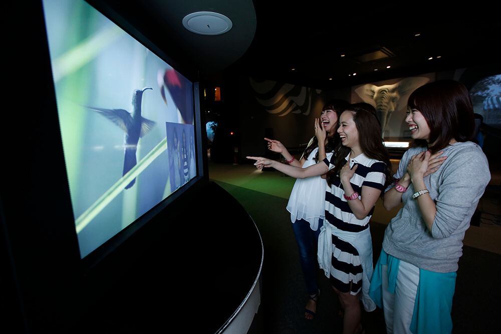 Orbi Yokohama(オービィ横浜) オフィシャルサイト