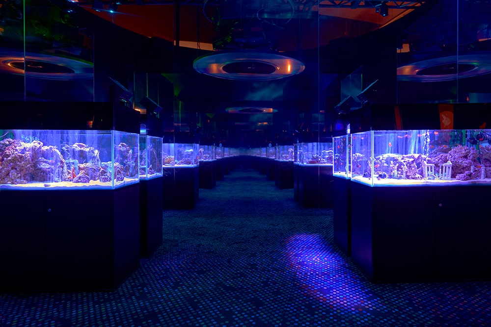 Orbi Yokohama(オービィ横浜) オフィシャルサイト